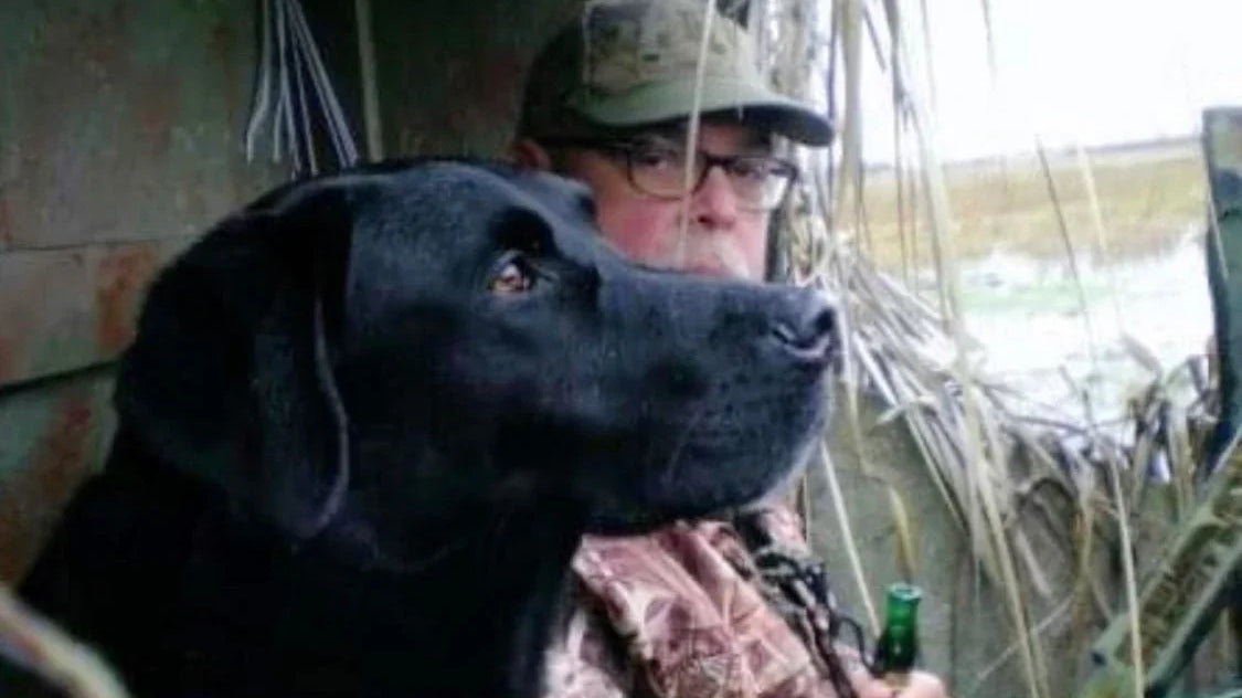Marley and Me - A True Tale - Atlantic Rancher Company