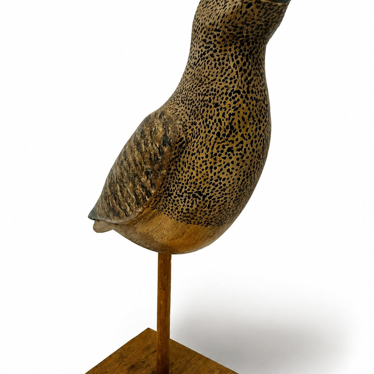 Curlew Decoy Hunting & Wildlife Decoys Atlantic Rancher Company