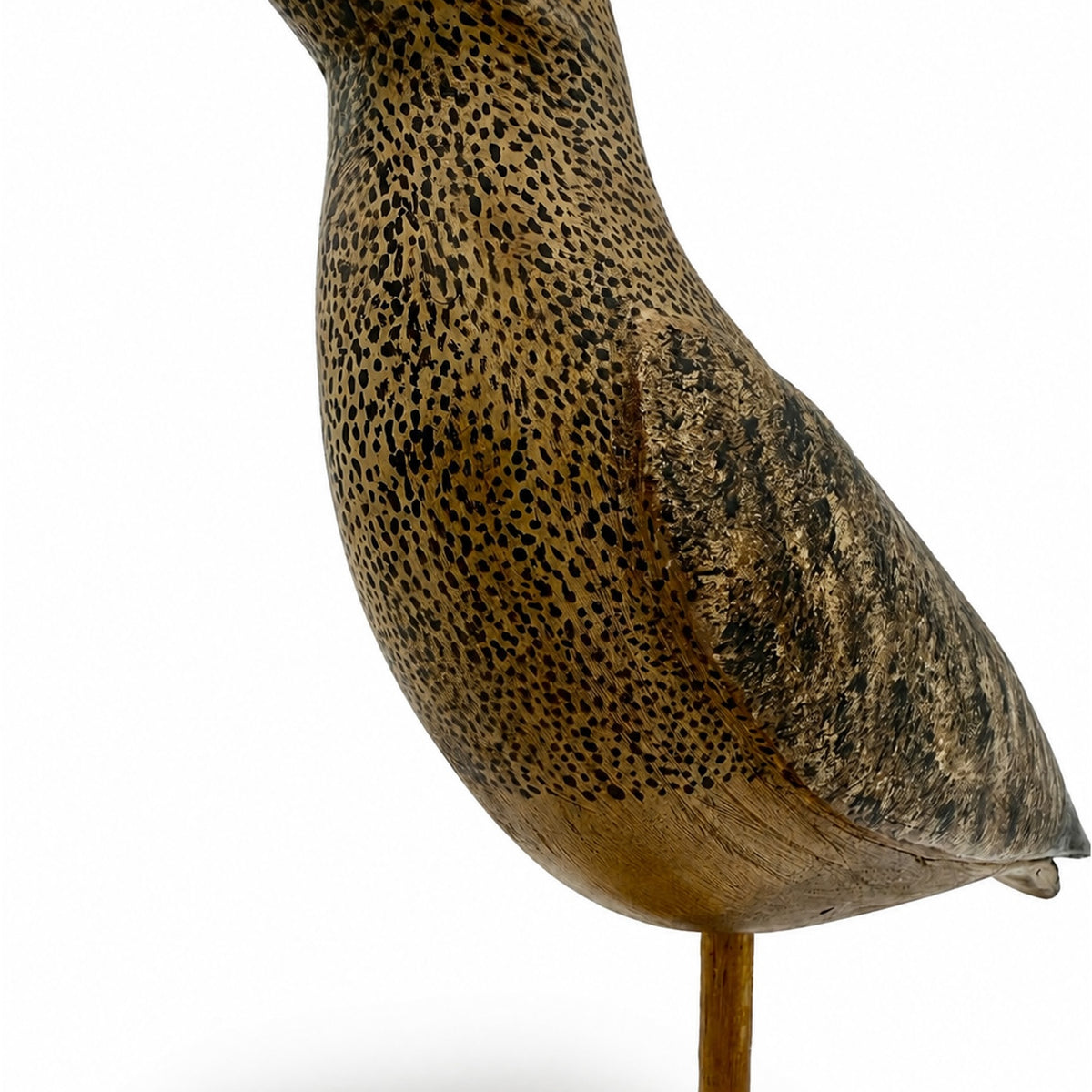 Curlew Decoy Hunting & Wildlife Decoys Atlantic Rancher Company
