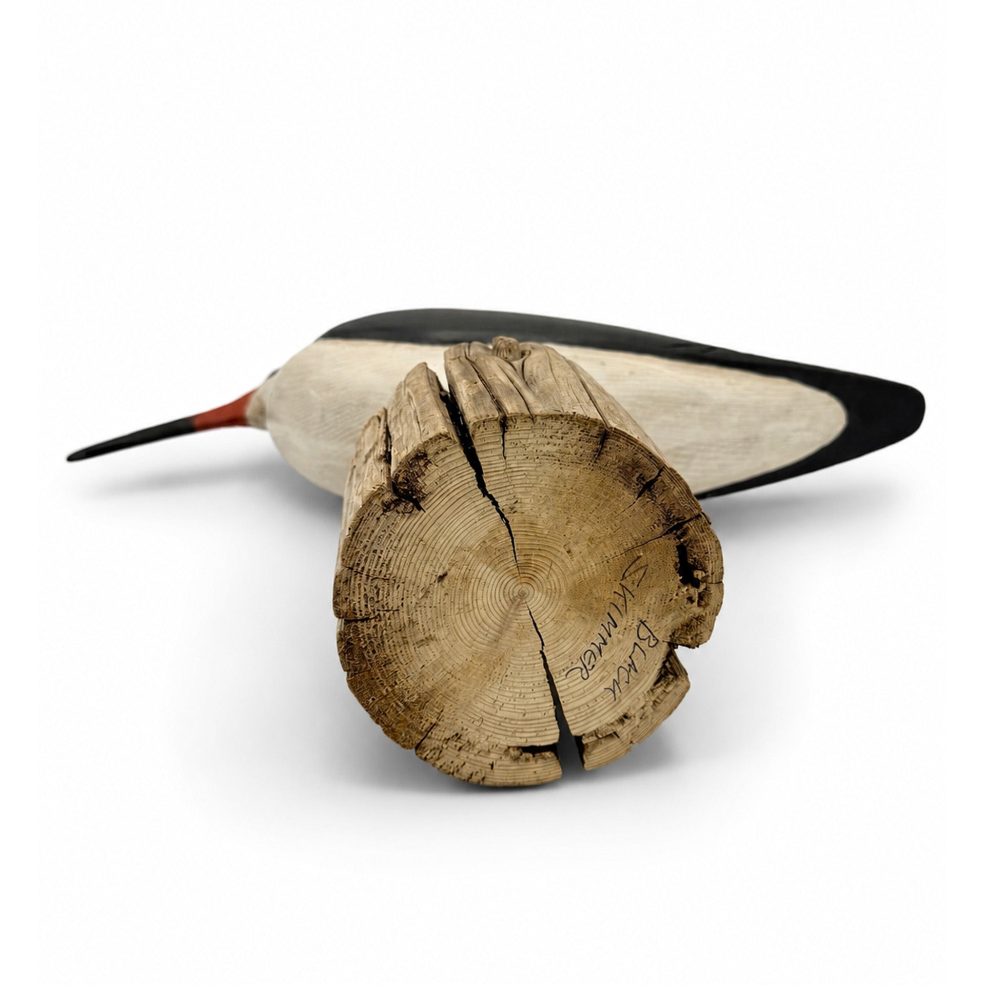 Black Skimmer Carving Hunting & Wildlife Decoys Atlantic Rancher Company