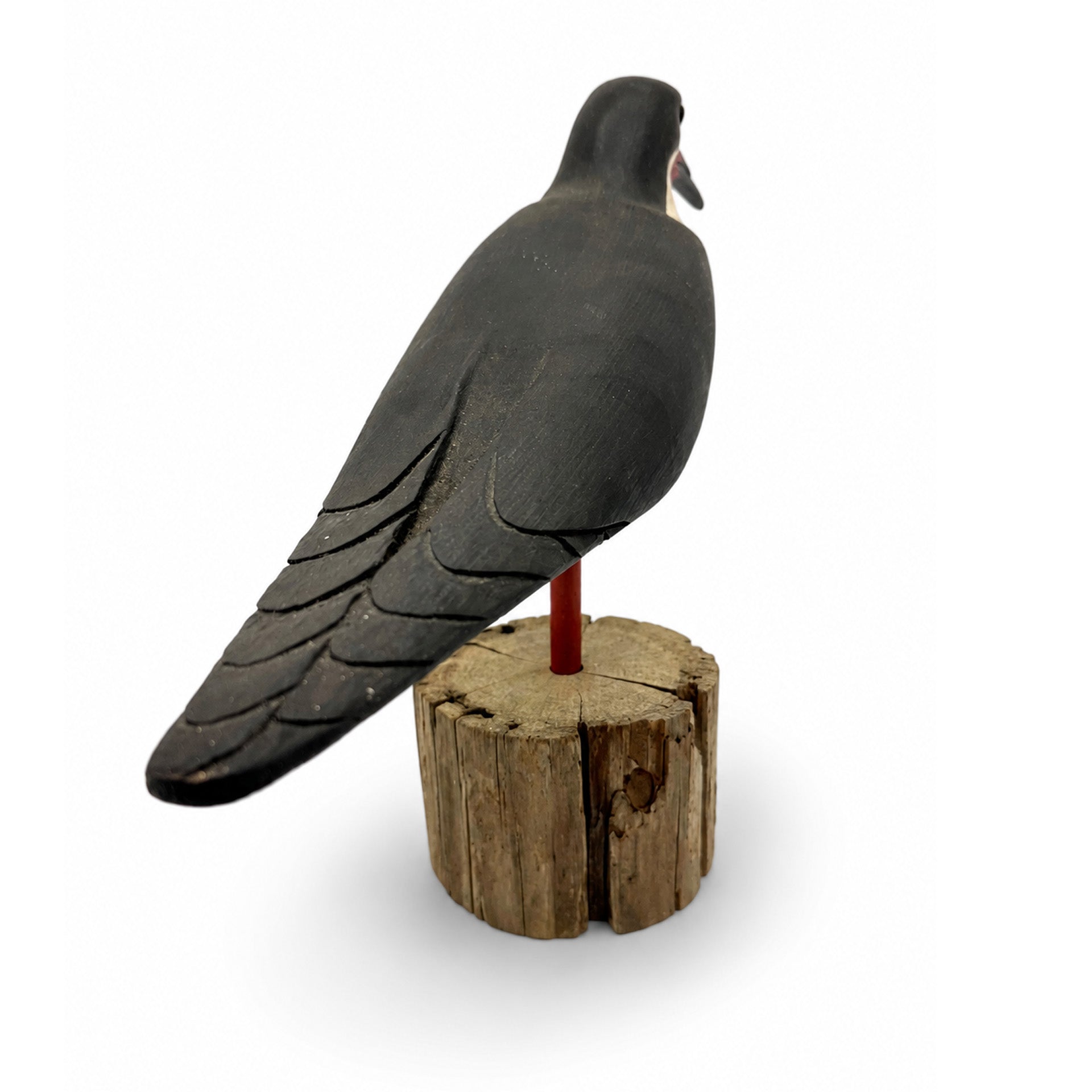 Black Skimmer Carving Hunting & Wildlife Decoys Atlantic Rancher Company