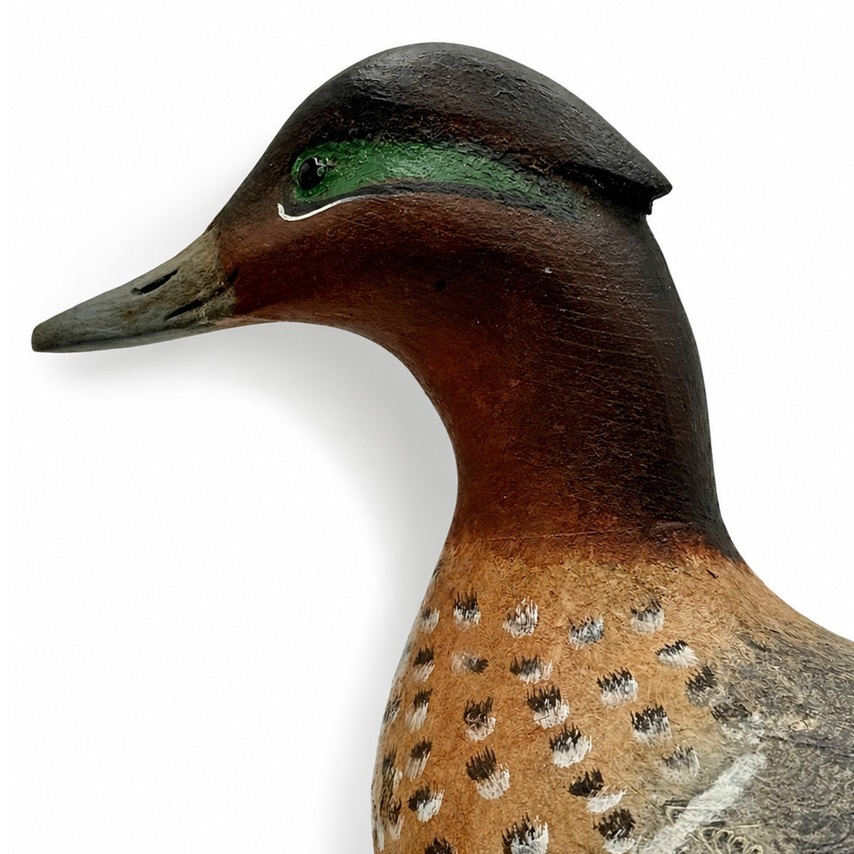 Green Wing Teal Drake Hunting & Wildlife Decoys Atlantic Rancher Company