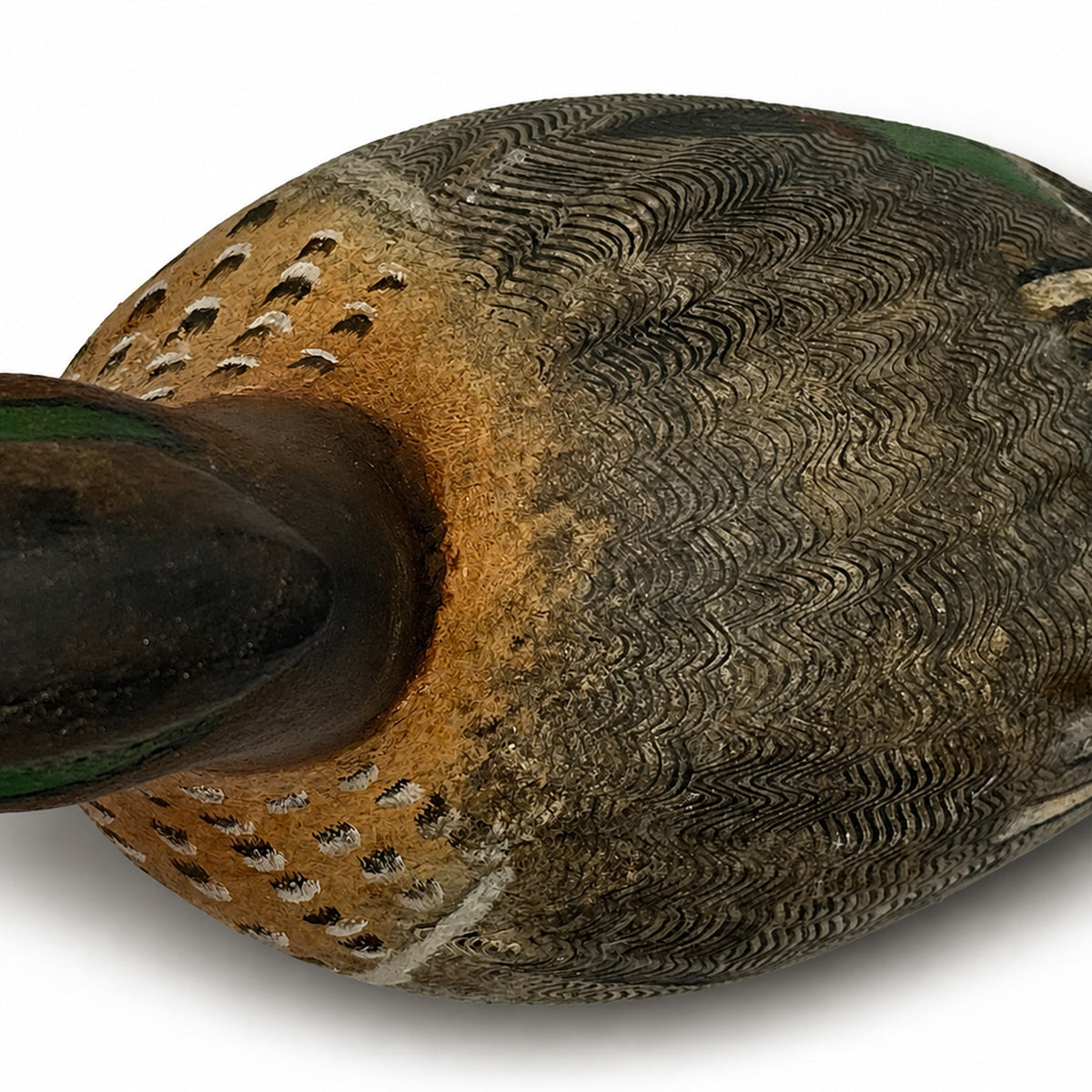 Green Wing Teal Drake Hunting & Wildlife Decoys Atlantic Rancher Company