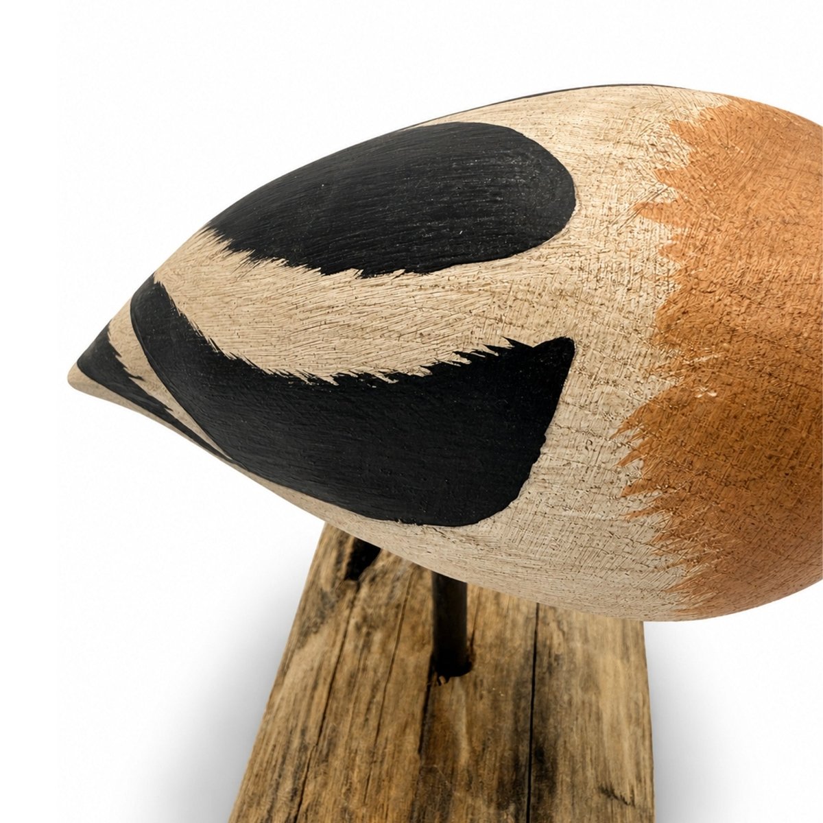 Avocet Decoy Hunting & Wildlife Decoys Atlantic Rancher Company