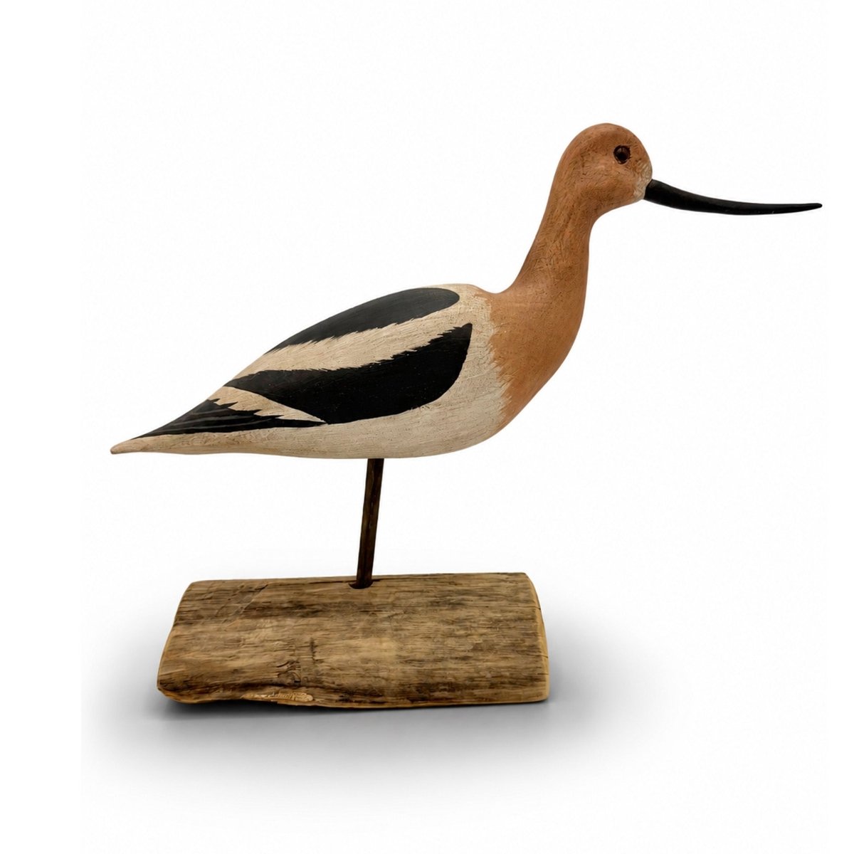 Avocet Decoy Hunting & Wildlife Decoys Atlantic Rancher Company