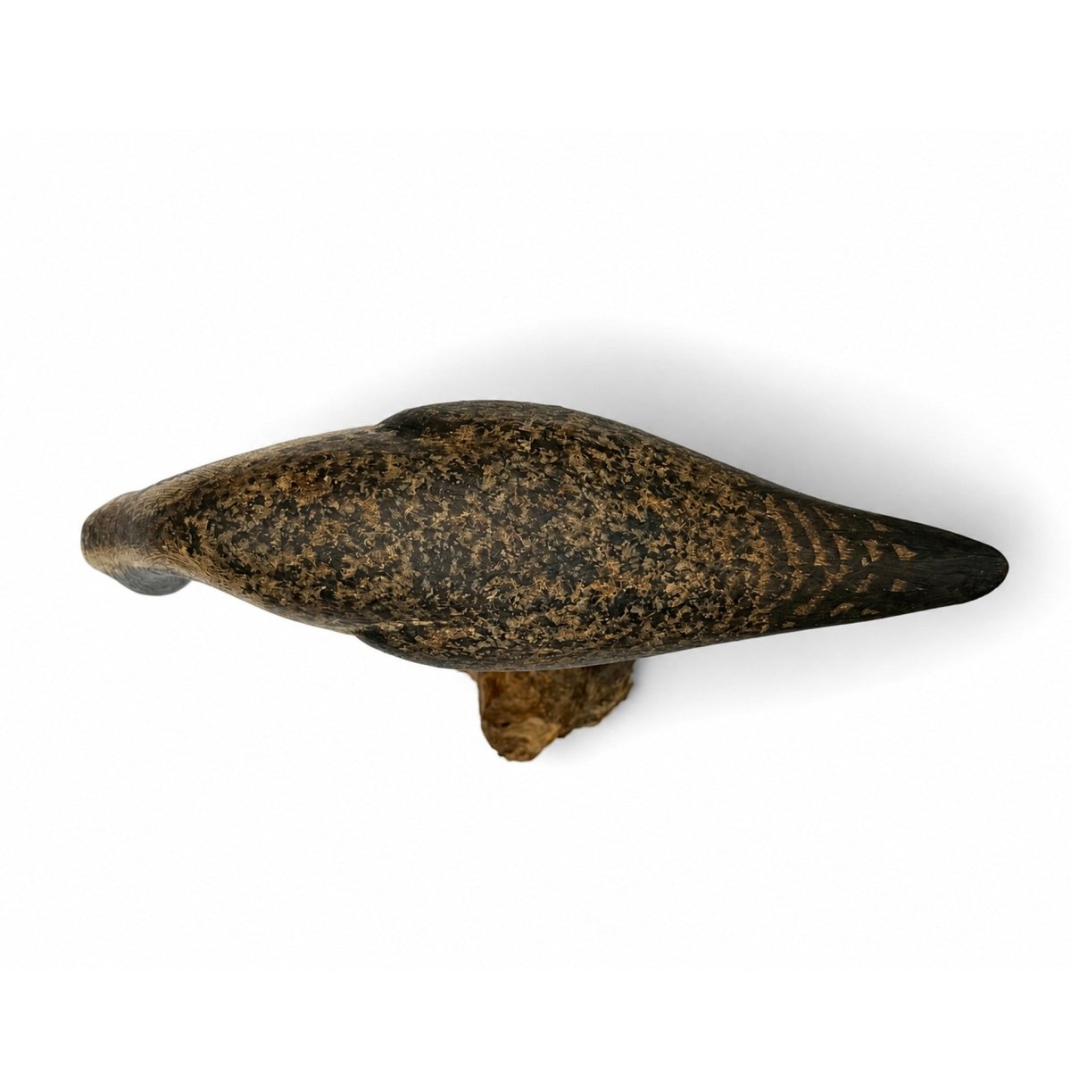 Black-Bellied Plover Decoy Hunting & Wildlife Decoys Atlantic Rancher Company
