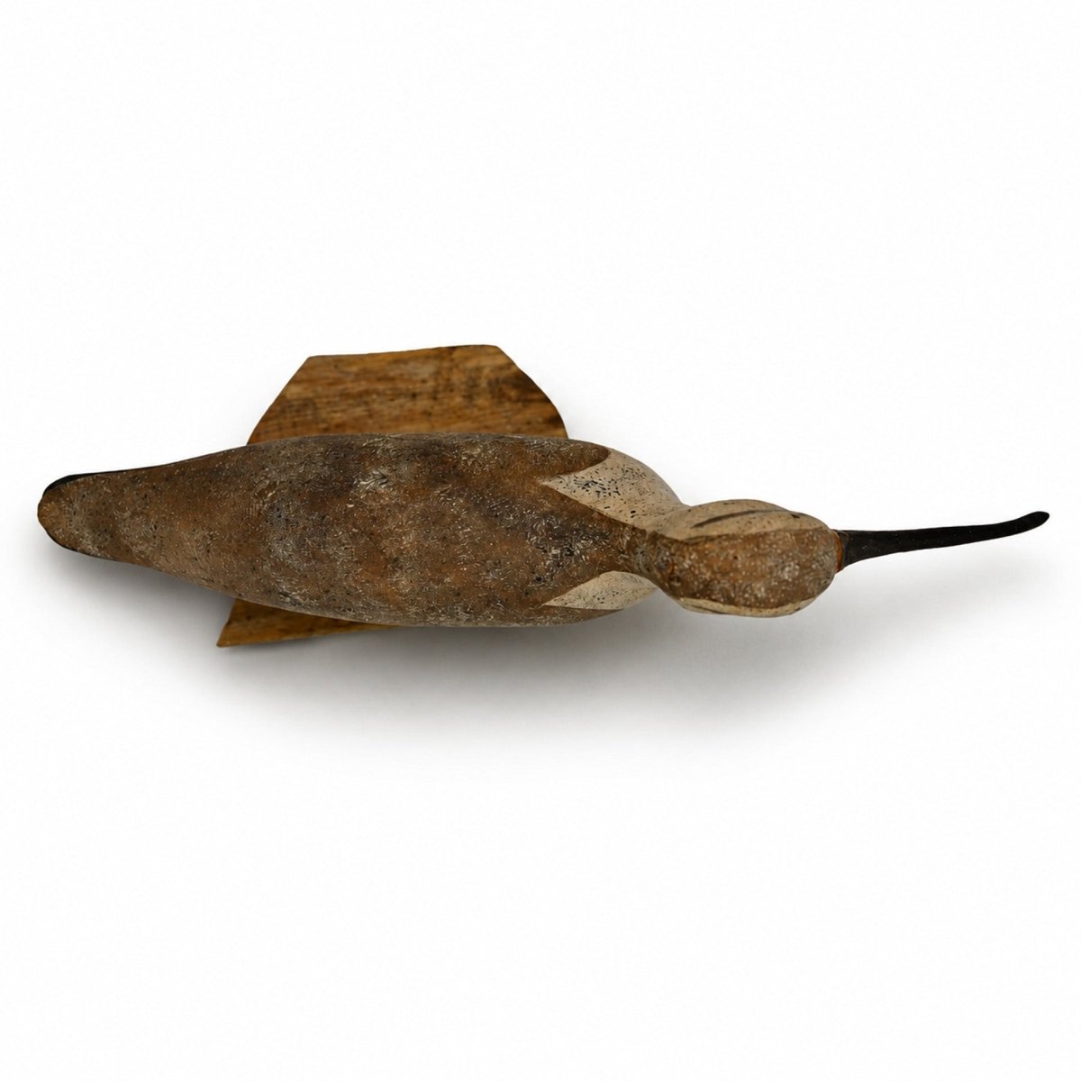 Curlew Decoy Hunting & Wildlife Decoys Atlantic Rancher Company
