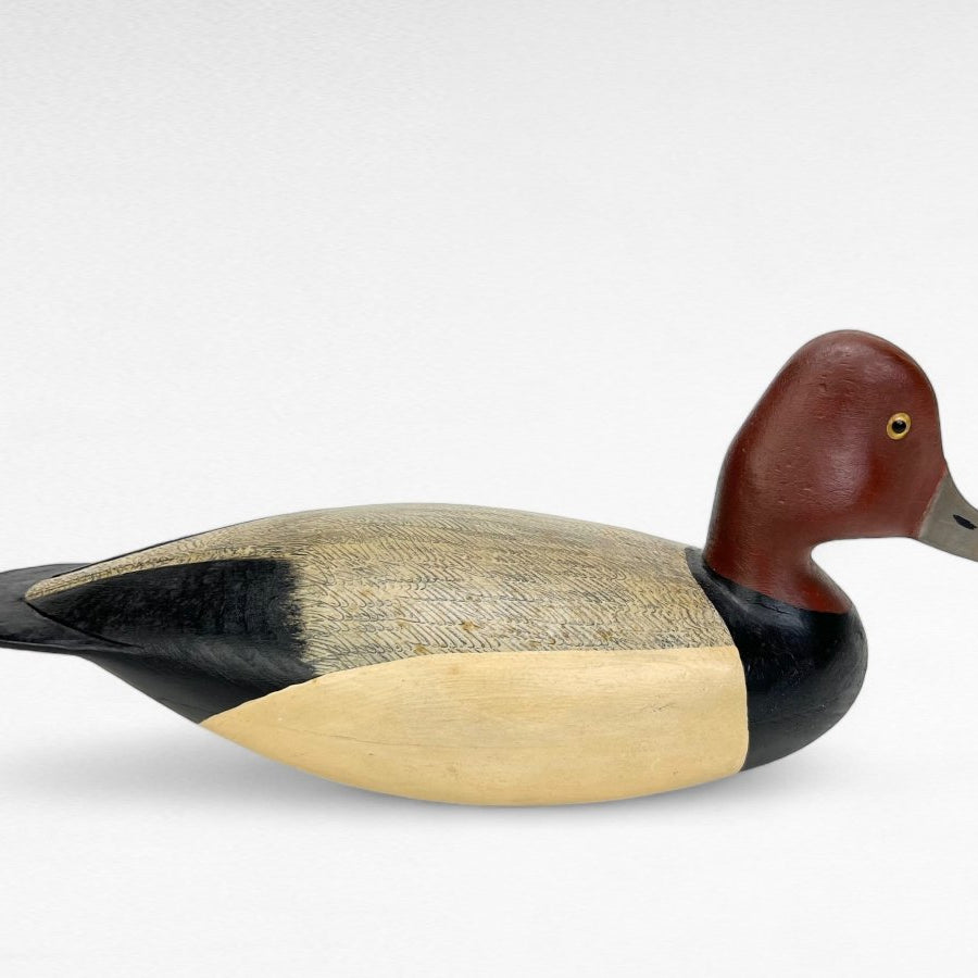 Duck Decoy, Redhead Drake Hunting & Wildlife Decoys Atlantic Rancher Company