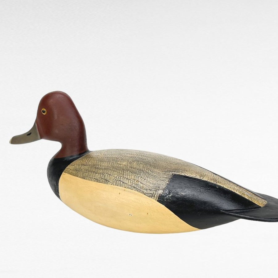 Duck Decoy, Redhead Drake Hunting & Wildlife Decoys Atlantic Rancher Company