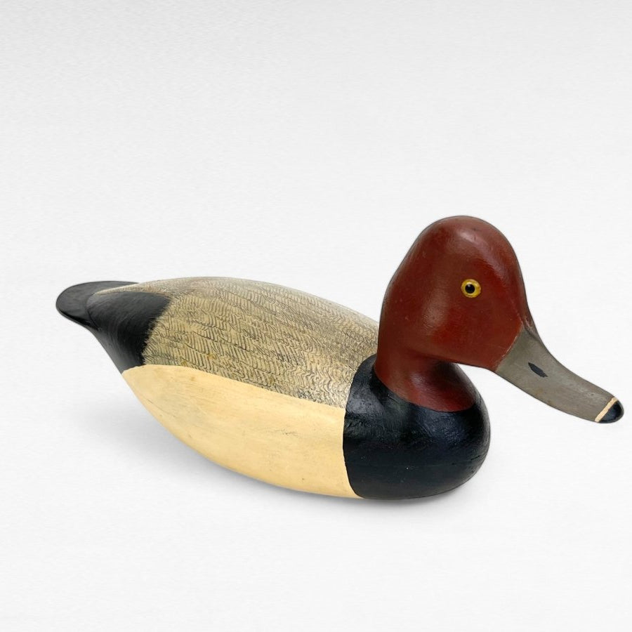 Duck Decoy, Redhead Drake Hunting & Wildlife Decoys Atlantic Rancher Company