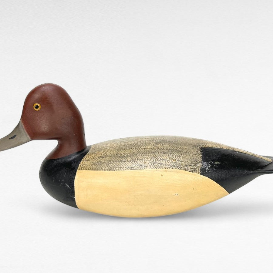 Duck Decoy, Redhead Drake Hunting & Wildlife Decoys Atlantic Rancher Company