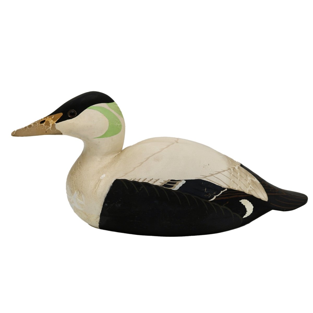Eider Duck Decoy Hunting & Wildlife Decoys Atlantic Rancher Company