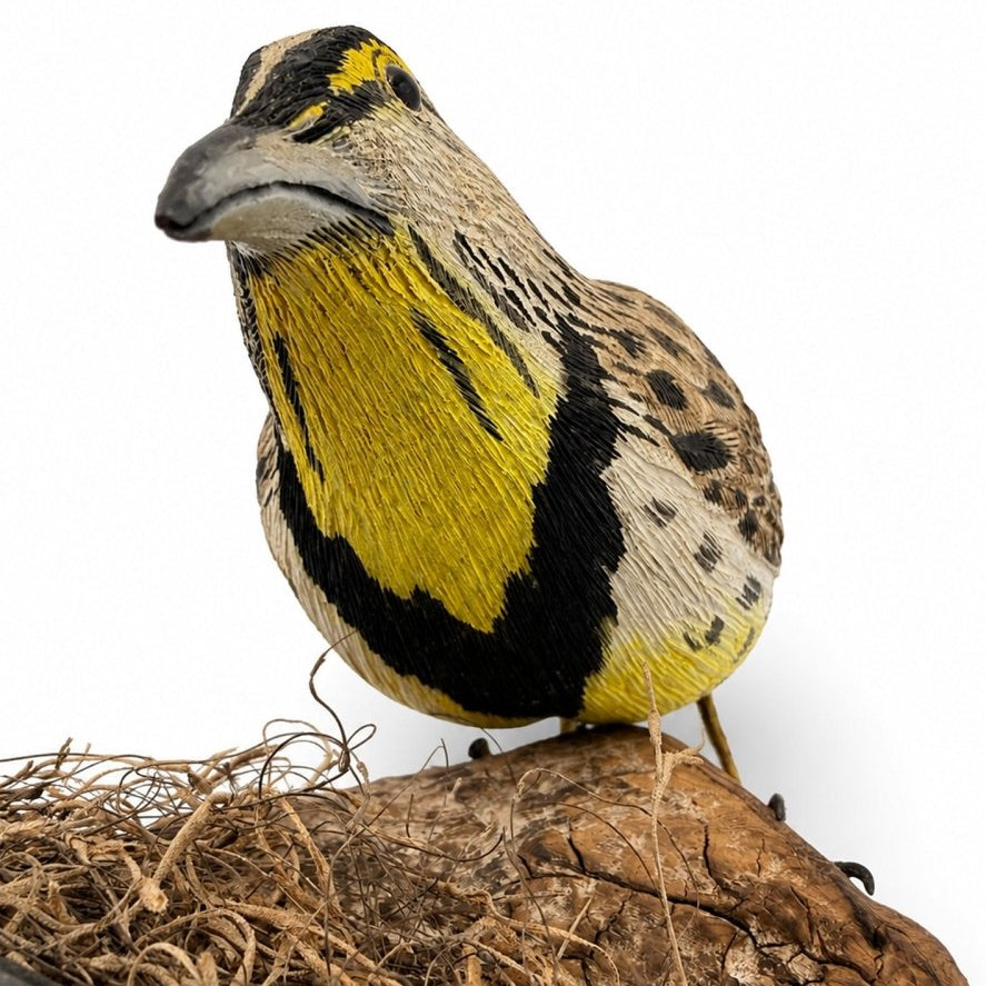 Fine Meadow Lark Feeding Hunting & Wildlife Decoys Atlantic Rancher Company