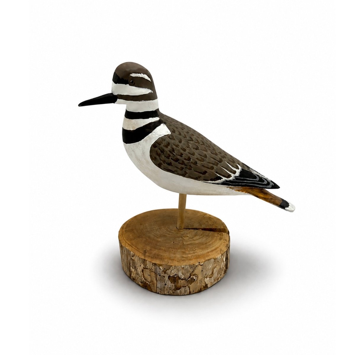Killdeer Carving- Harry V Shourds Hunting & Wildlife Decoys Atlantic Rancher Company