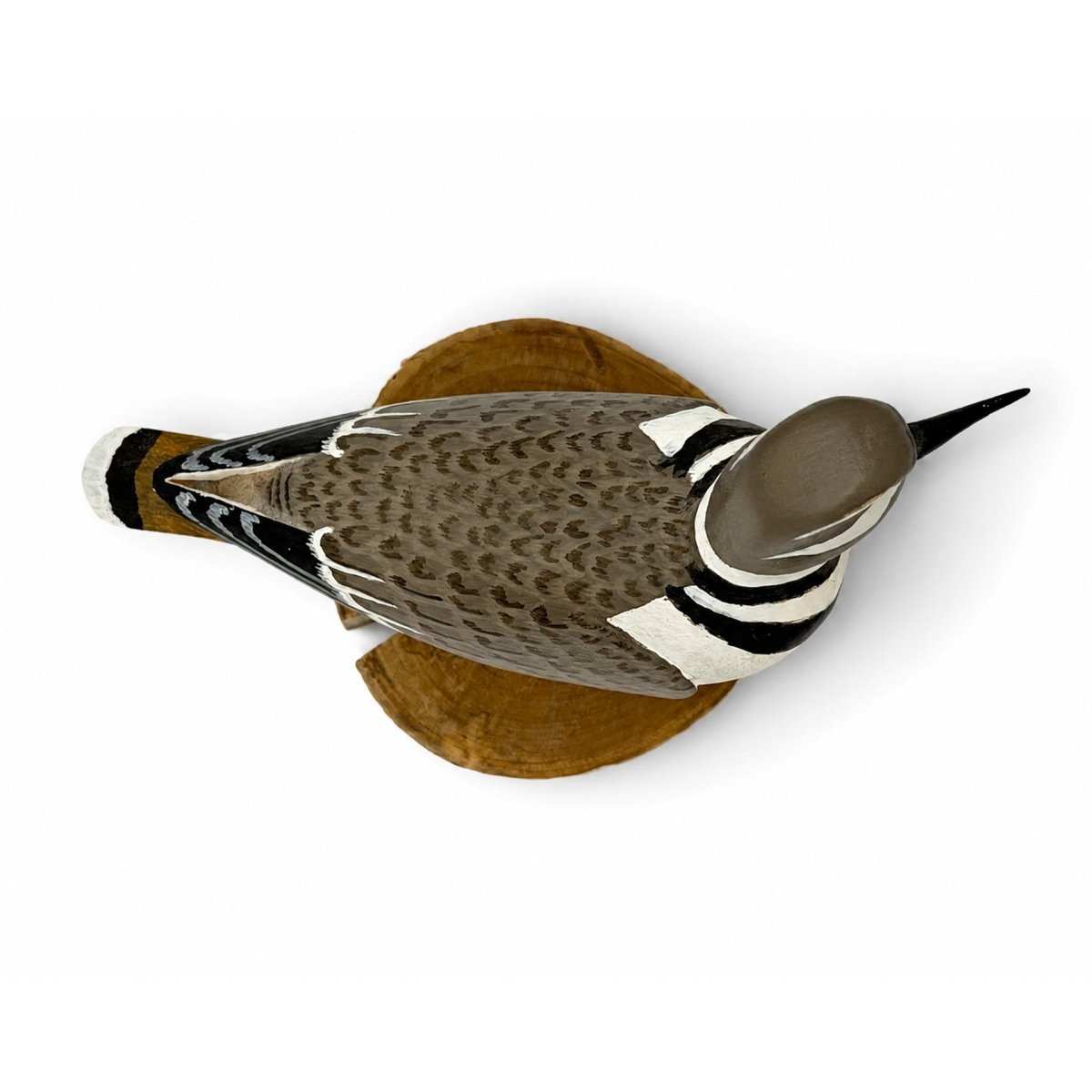 Killdeer Carving- Harry V Shourds Hunting & Wildlife Decoys Atlantic Rancher Company