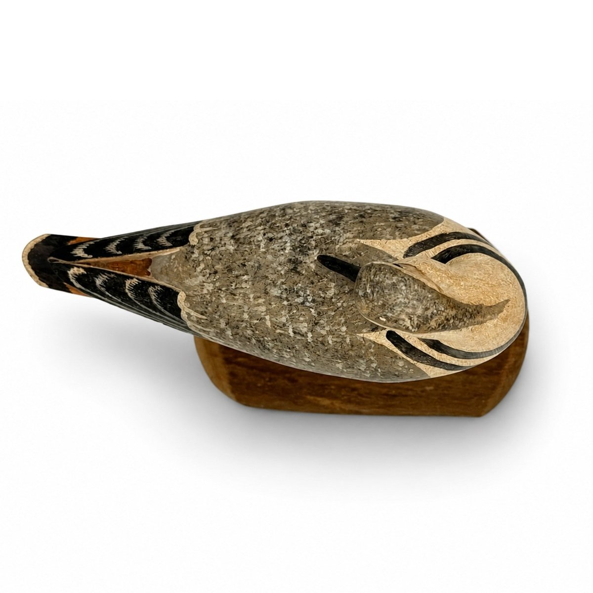 Killdeer Decoy - HV Shourds Hunting & Wildlife Decoys Atlantic Rancher Company