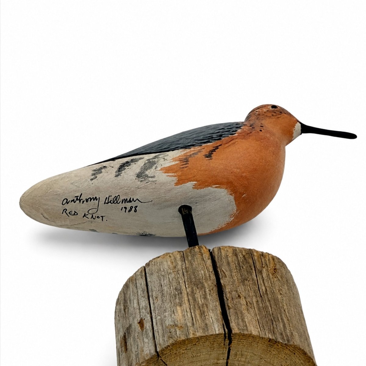 Miniature Red Knot Hunting & Wildlife Decoys Atlantic Rancher Company