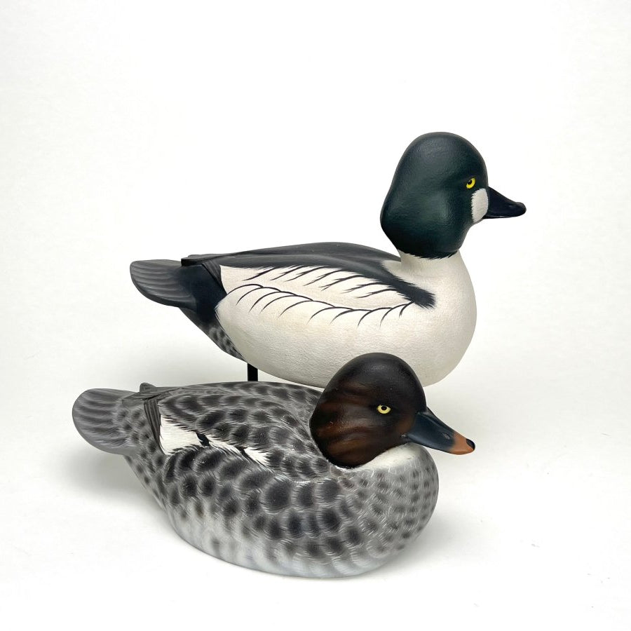 Pair of Goldeneye Duck Decoys Hunting & Wildlife Decoys Atlantic Rancher Company