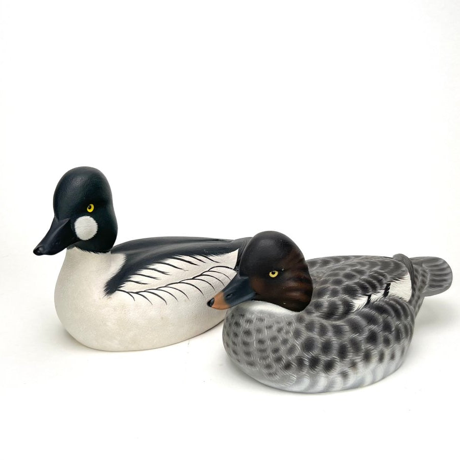 Pair of Goldeneye Duck Decoys Hunting & Wildlife Decoys Atlantic Rancher Company