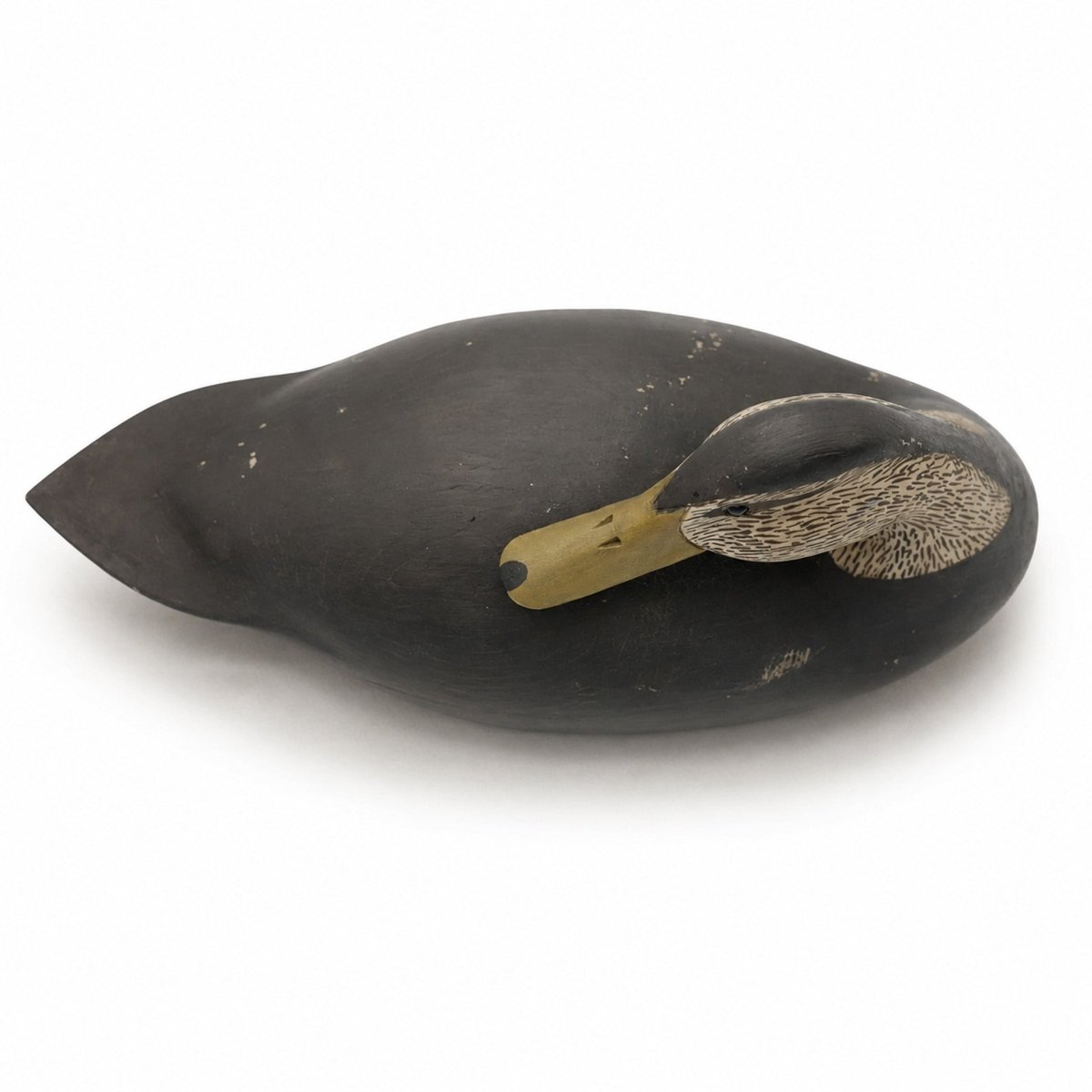 Preening Black Duck Decoy Hunting & Wildlife Decoys Atlantic Rancher Company