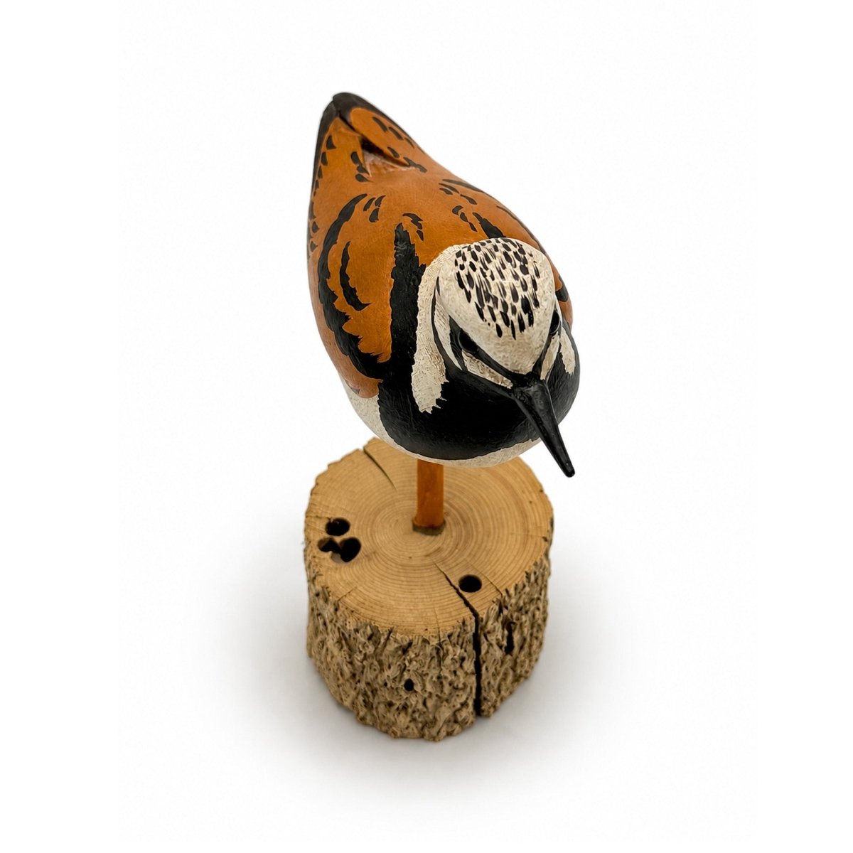 Ruddy Turnstone Carving Hunting & Wildlife Decoys Atlantic Rancher Company
