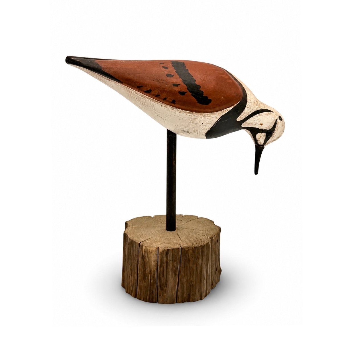 Ruddy Turnstone Decoy - S Morey Hunting & Wildlife Decoys Atlantic Rancher Company