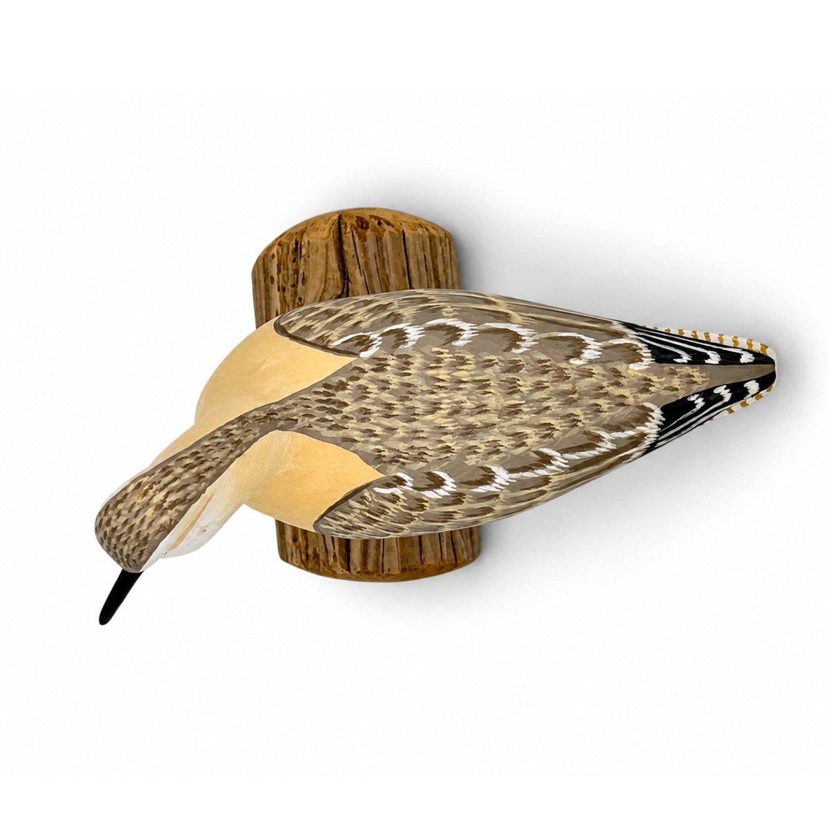 Sanderling Decoy - HVS Hunting & Wildlife Decoys Atlantic Rancher Company