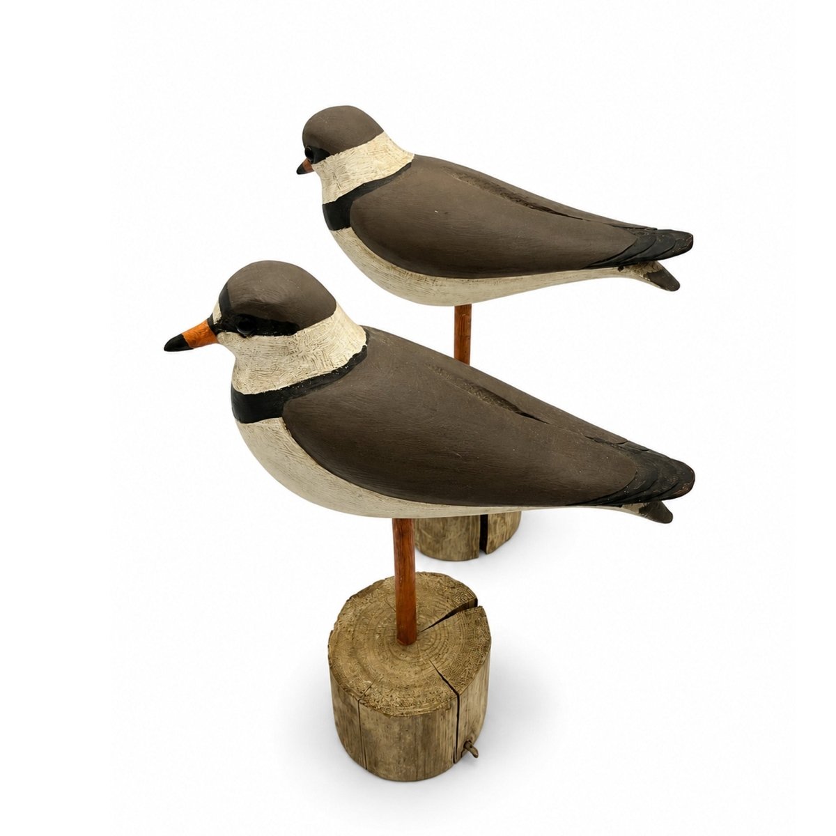 Semipalmated Plover Decoys Hunting & Wildlife Decoys Atlantic Rancher Company