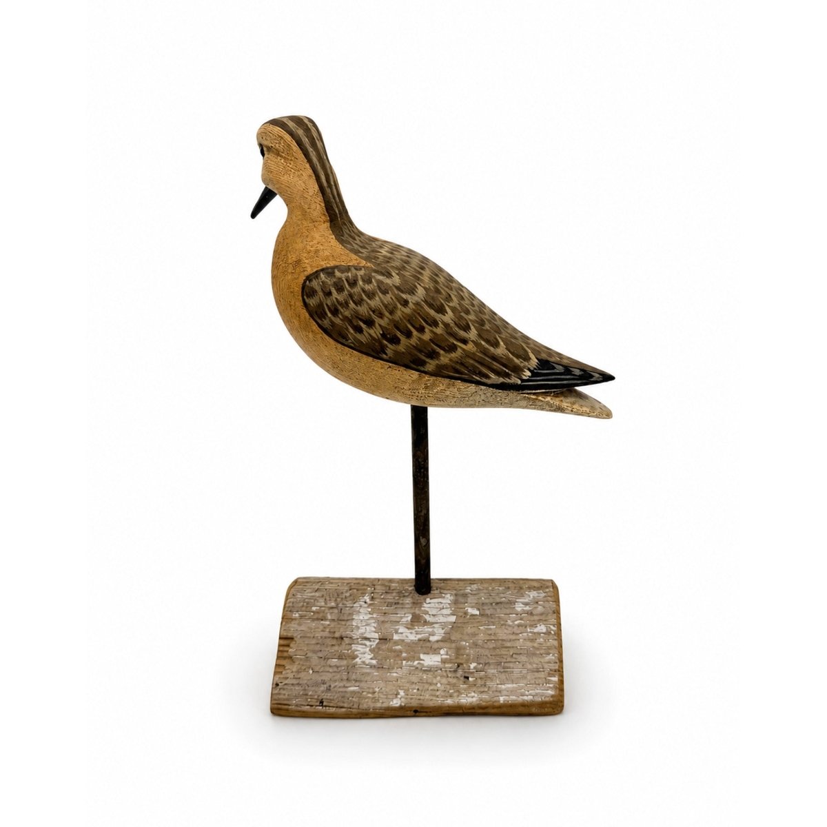 Short-Billed Dowitcher Decoy Hunting & Wildlife Decoys Atlantic Rancher Company