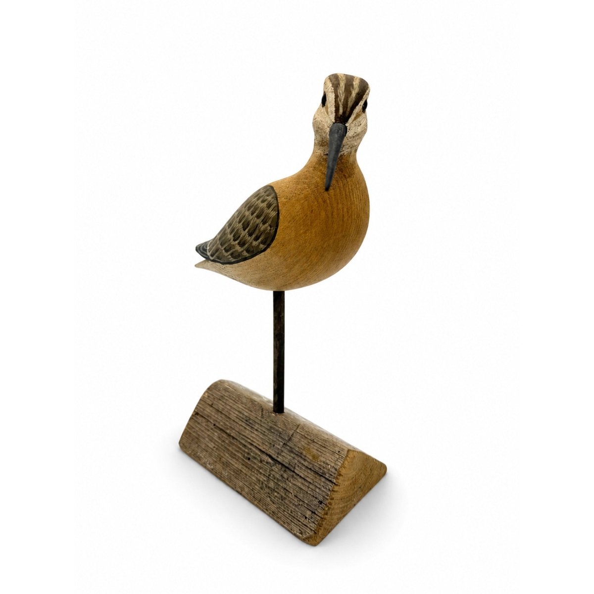 Short-Billed Dowitcher Decoy Hunting & Wildlife Decoys Atlantic Rancher Company