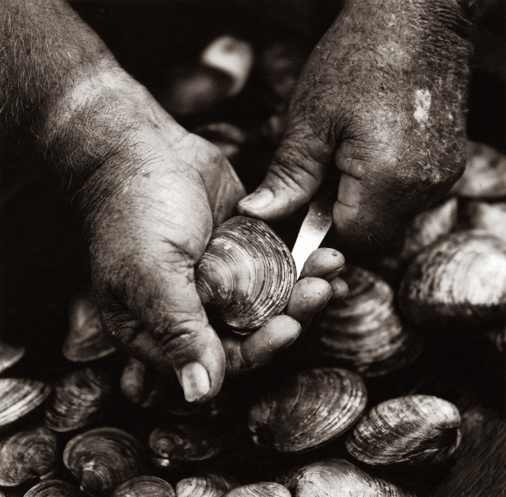 How to shuck clams the right way