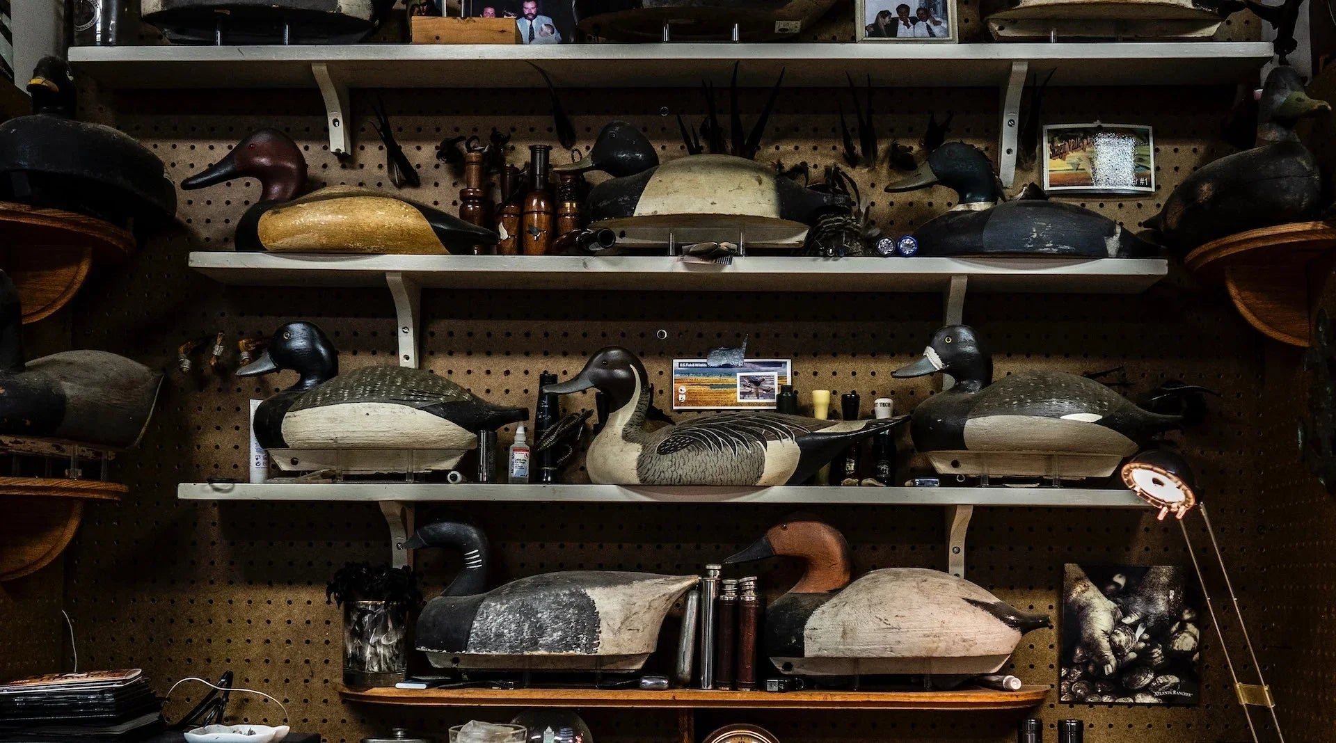 The Decoy Shop The Decoy Shop