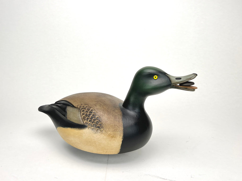 Bluebill Drake Duck Decoy with Mussel - Darkfeather Freedman, Michigan Hunting & Wildlife Decoys Atlantic Rancher Company   