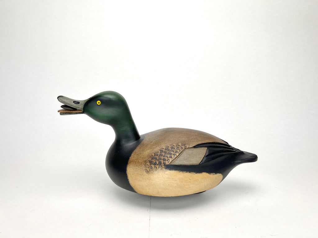 Bluebill Drake Duck Decoy with Mussel - Darkfeather Freedman, Michigan Hunting & Wildlife Decoys Atlantic Rancher Company   