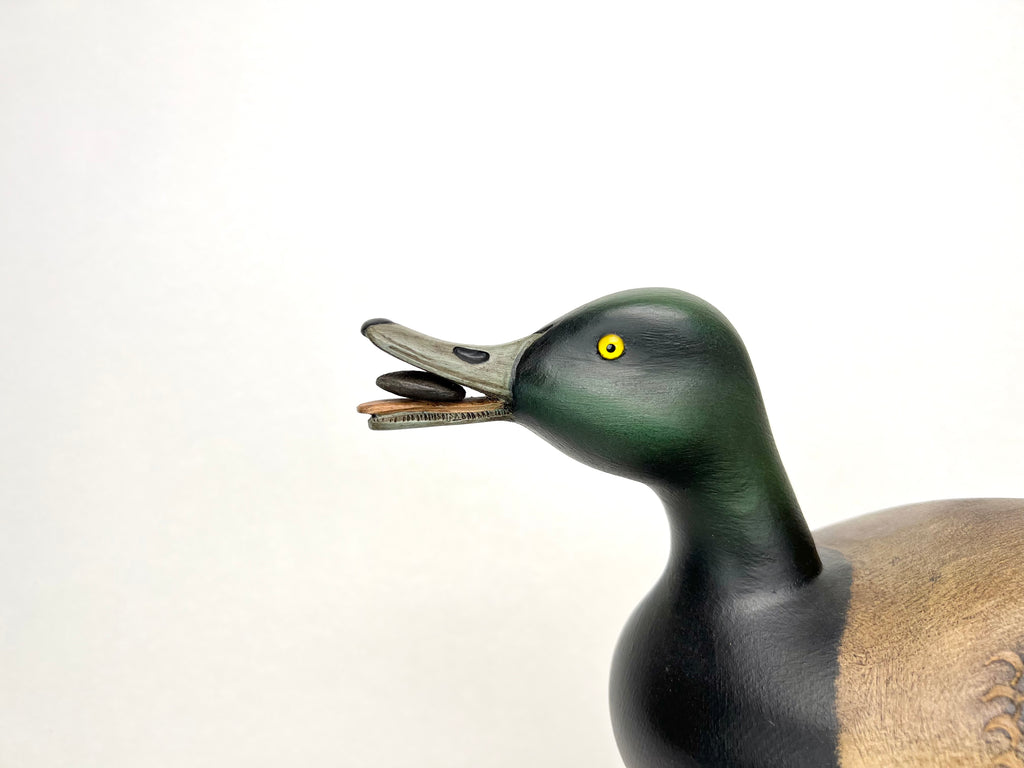 Bluebill Drake Duck Decoy with Mussel - Darkfeather Freedman, Michigan Hunting & Wildlife Decoys Atlantic Rancher Company   