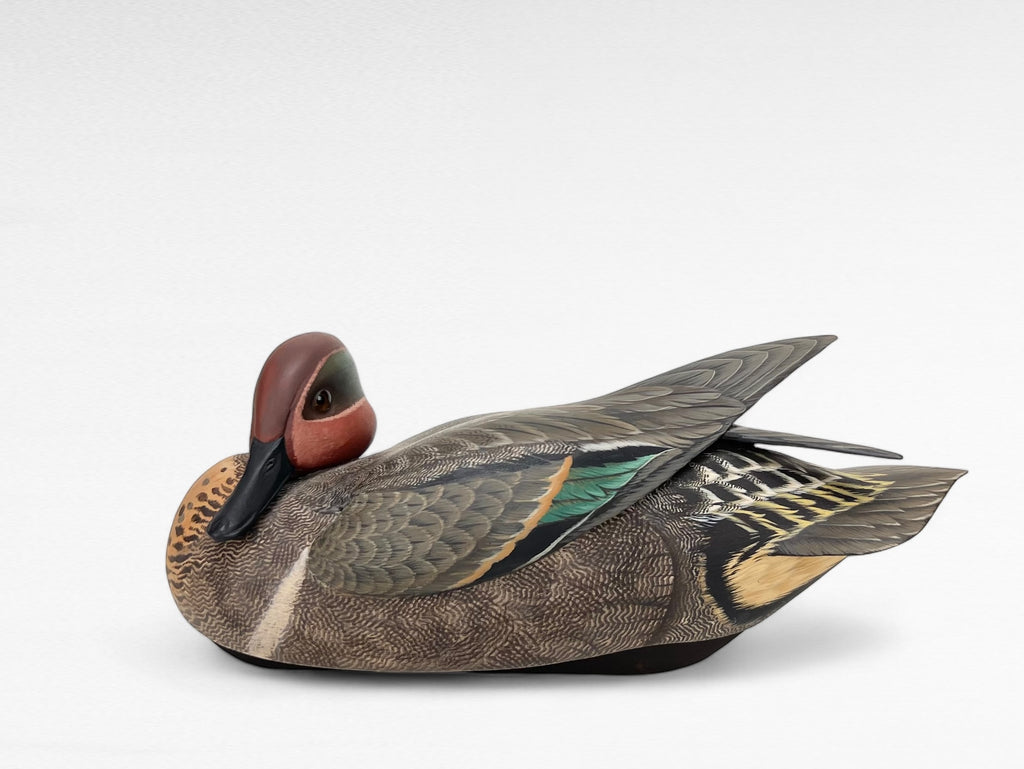 Preening Duck Decoy, Green-winged Teal Drake Hunting & Wildlife Decoys Atlantic Rancher Company