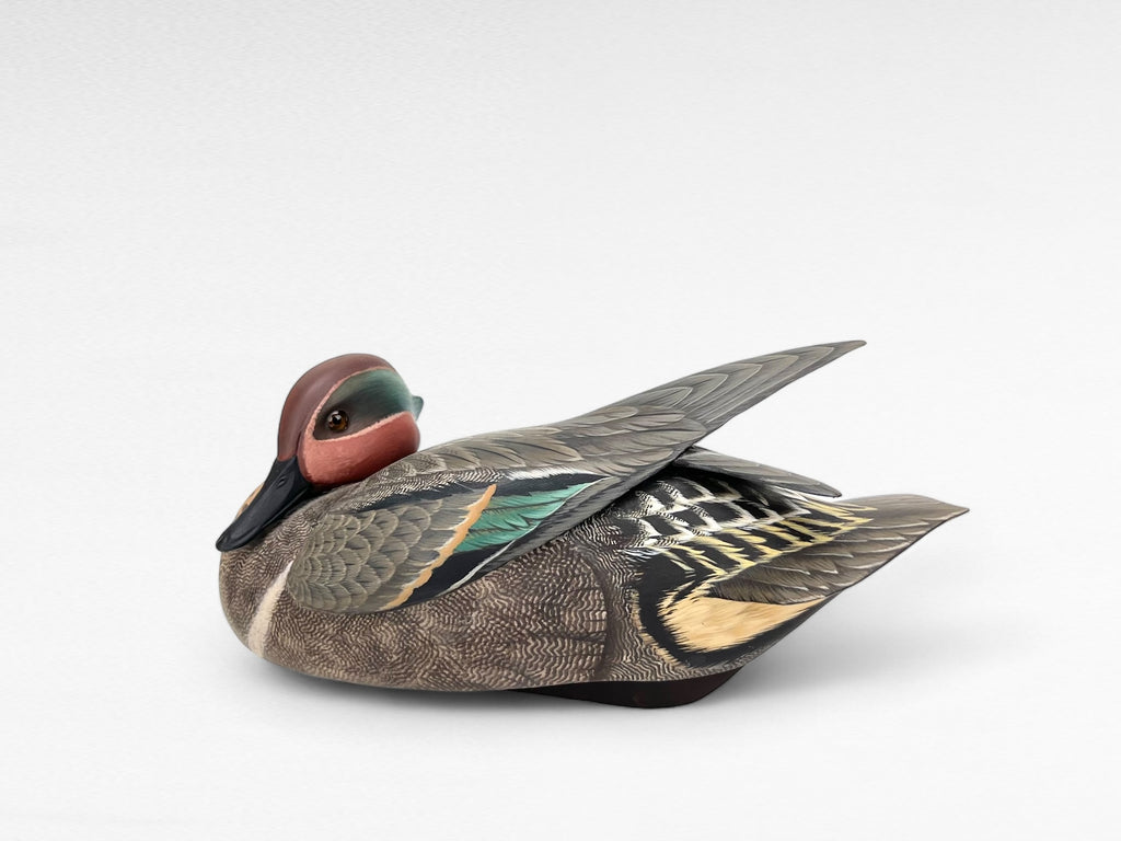 Preening Duck Decoy, Green-winged Teal Drake Hunting & Wildlife Decoys Atlantic Rancher Company