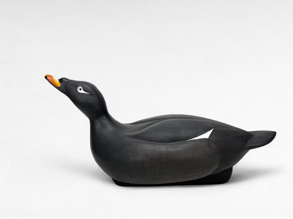 Duck Decoy White Winged Scoter Hunting & Wildlife Decoys Atlantic Rancher Company