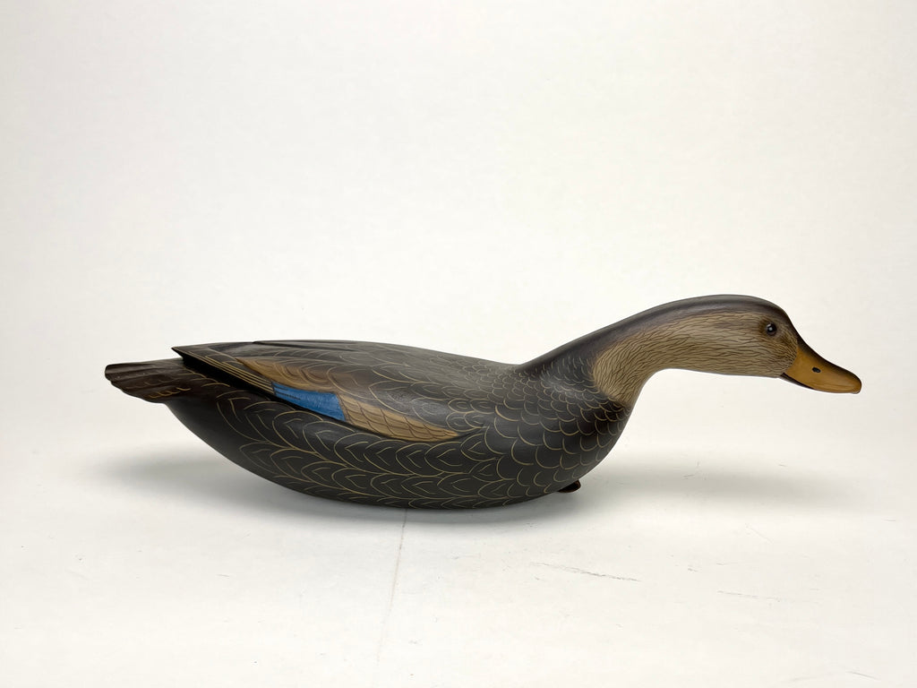 Swimming Black Duck Decoy - Clarence Fenimore, Wrightstown, NJ Hunting & Wildlife Decoys Atlantic Rancher Company   