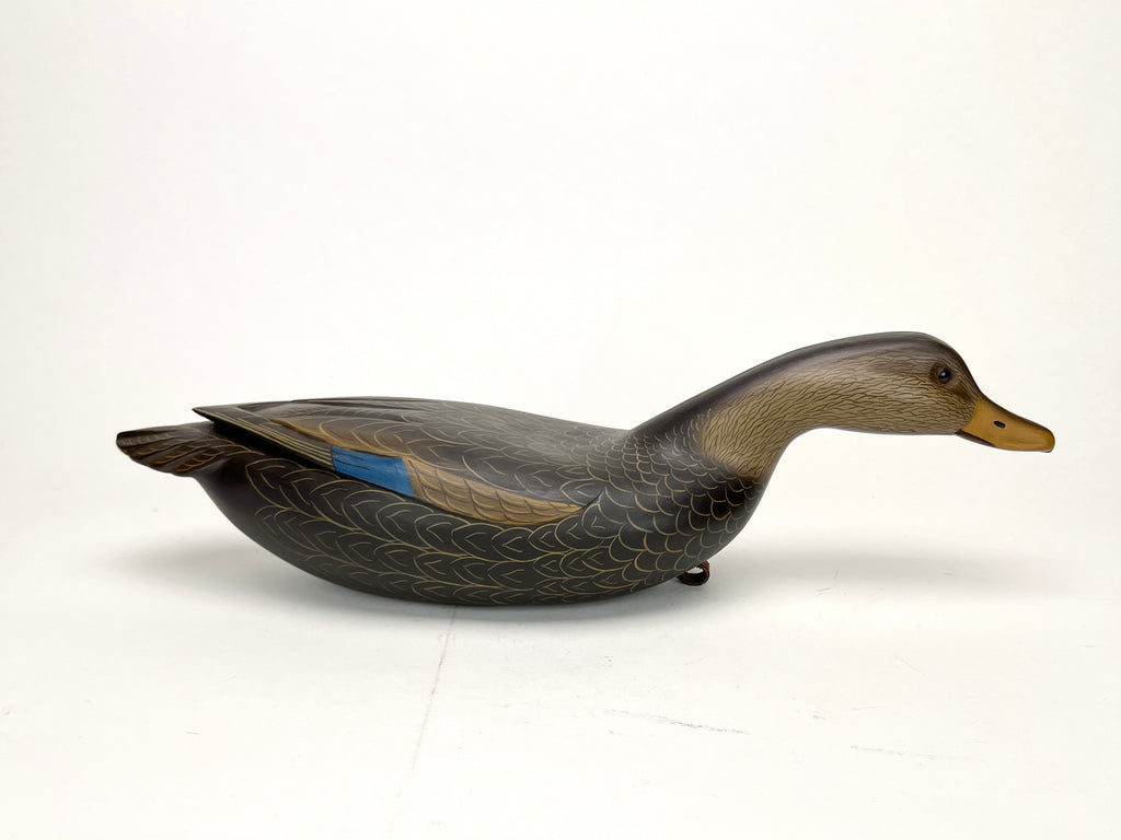 Swimming Black Duck Decoy - Clarence Fenimore, Wrightstown, NJ Hunting & Wildlife Decoys Atlantic Rancher Company   