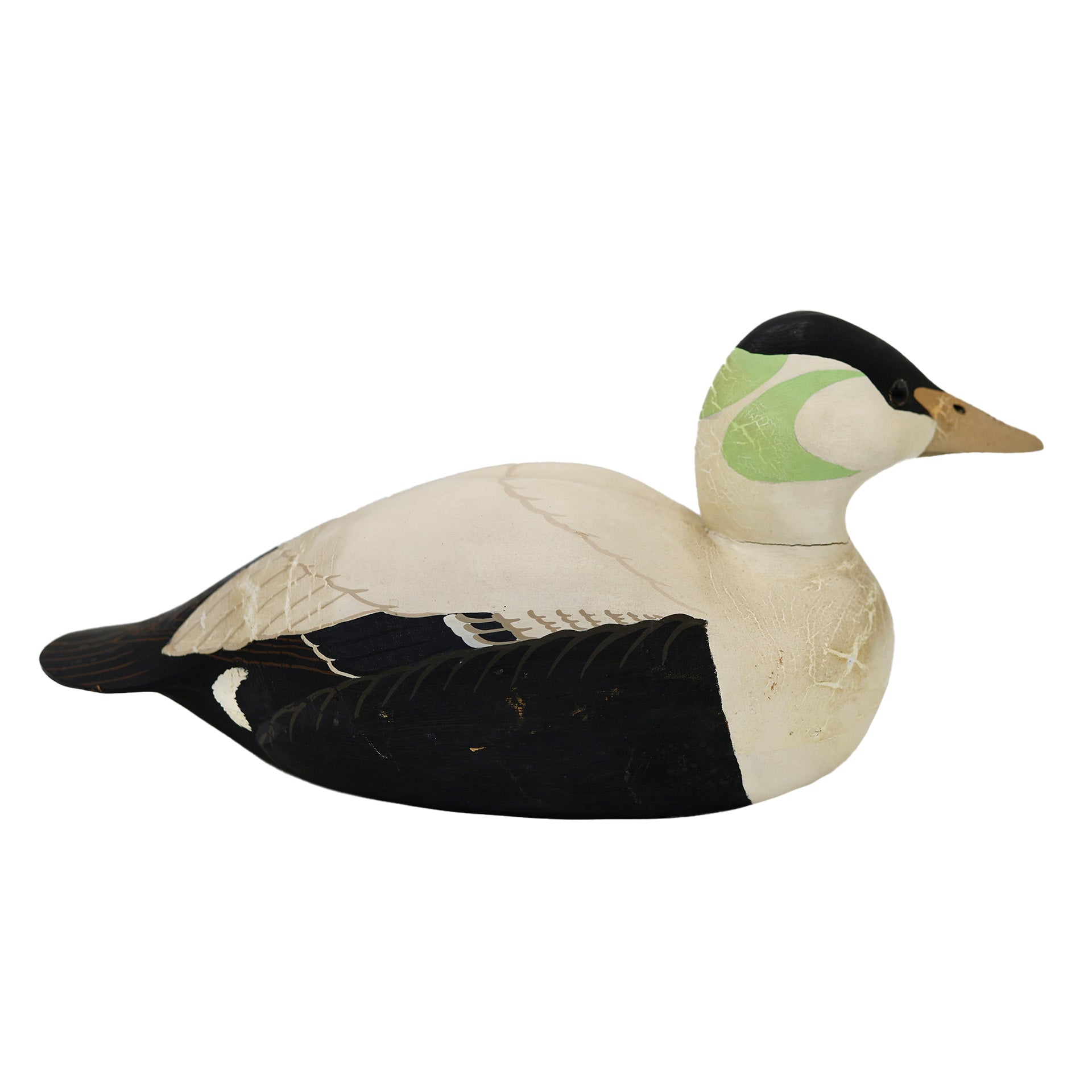 Eider Duck Decoy Hunting & Wildlife Decoys Atlantic Rancher Company