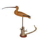 Oversized Curlew Hunting & Wildlife Decoys Atlantic Rancher Company