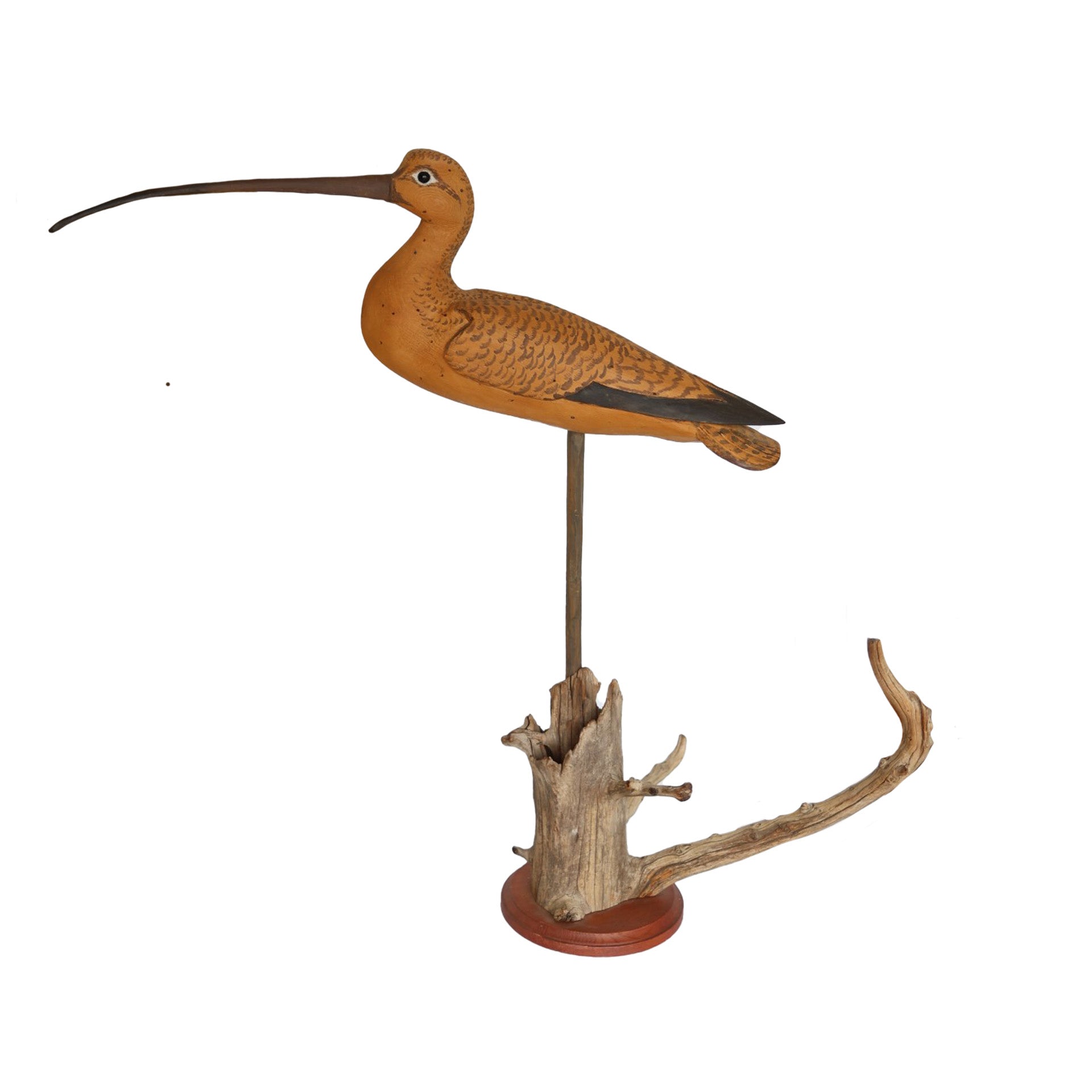 Oversized Curlew Hunting & Wildlife Decoys Atlantic Rancher Company