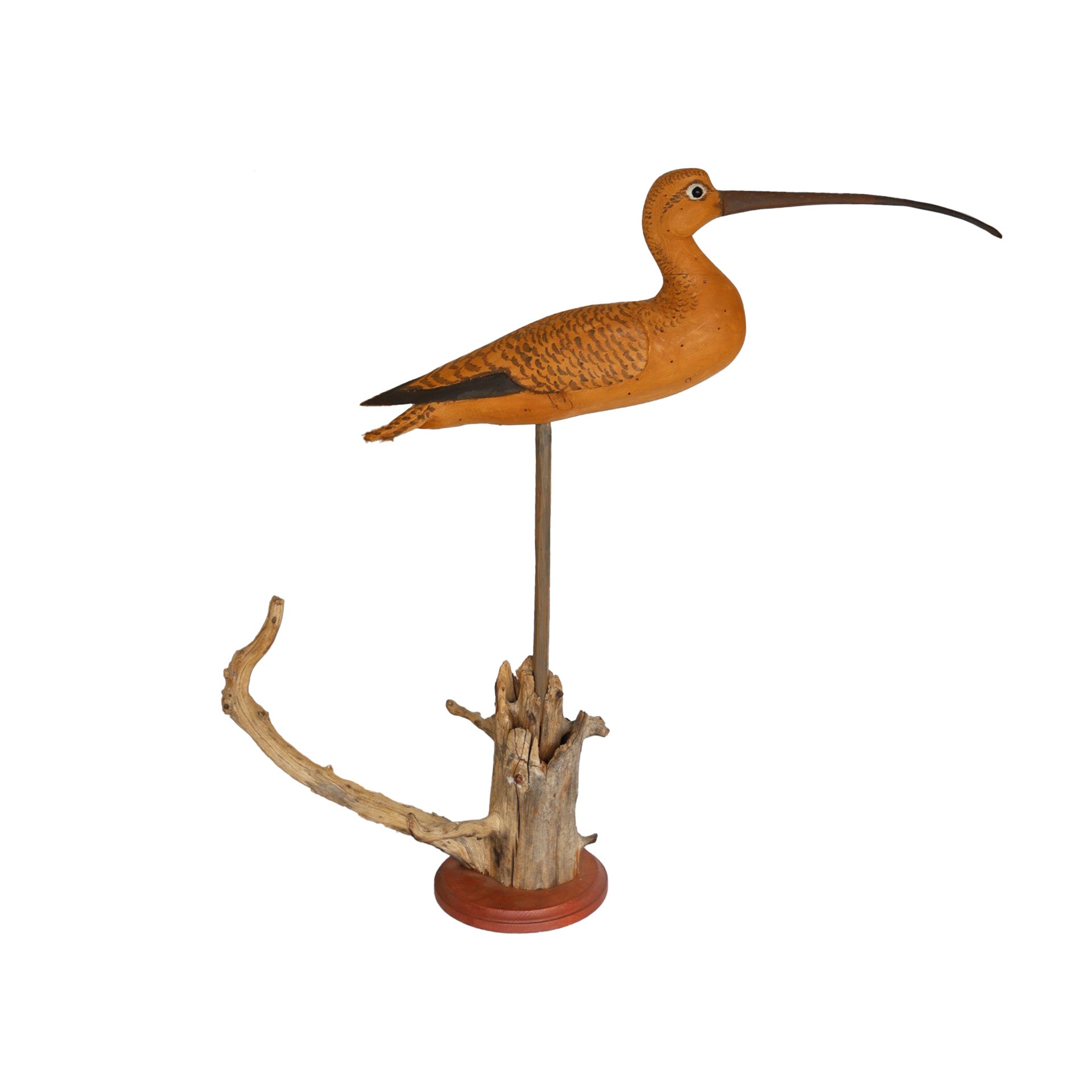 Oversized Curlew Hunting & Wildlife Decoys Atlantic Rancher Company