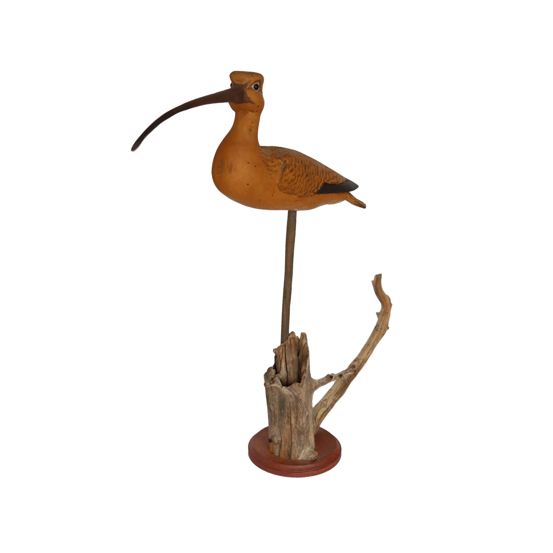 Oversized Curlew Hunting & Wildlife Decoys Atlantic Rancher Company