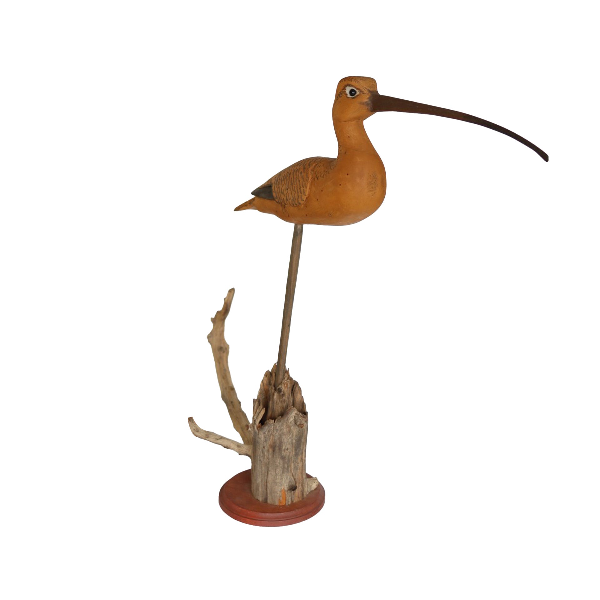 Oversized Curlew Hunting & Wildlife Decoys Atlantic Rancher Company