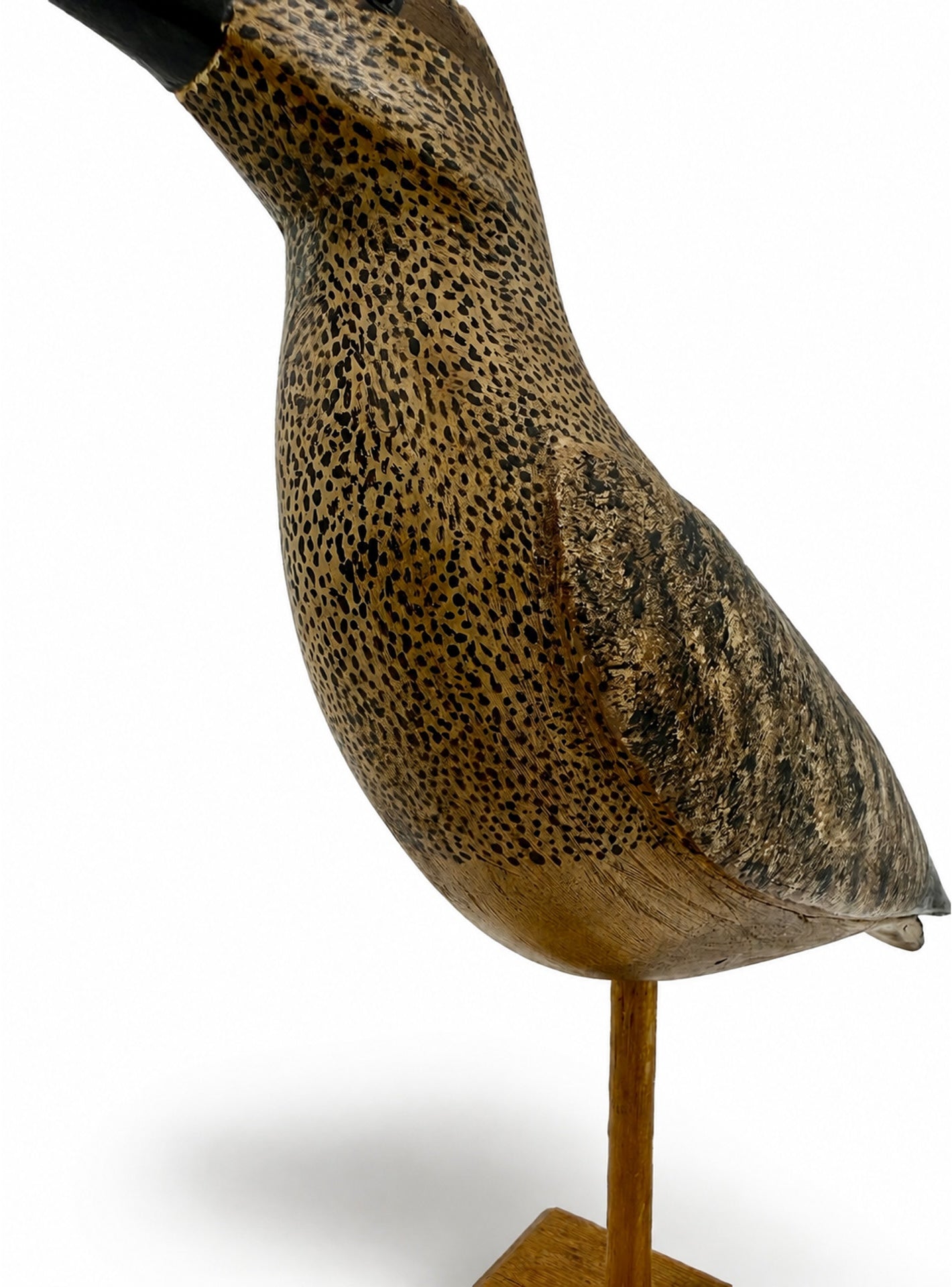 Curlew Decoy Hunting & Wildlife Decoys Atlantic Rancher Company