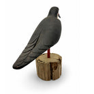 Black Skimmer Carving Hunting & Wildlife Decoys Atlantic Rancher Company