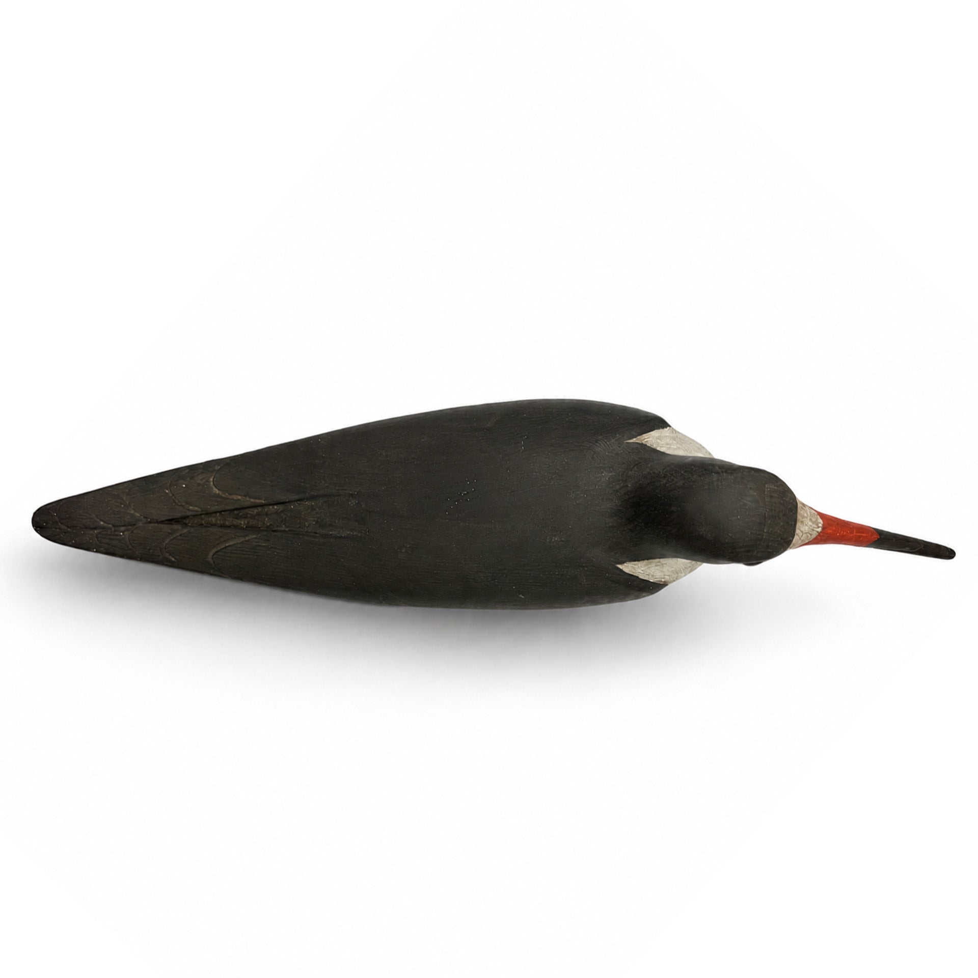 Black Skimmer Carving Hunting & Wildlife Decoys Atlantic Rancher Company