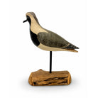 Black-Brested Plover Decoy - Shourds Hunting & Wildlife Decoys Atlantic Rancher Company